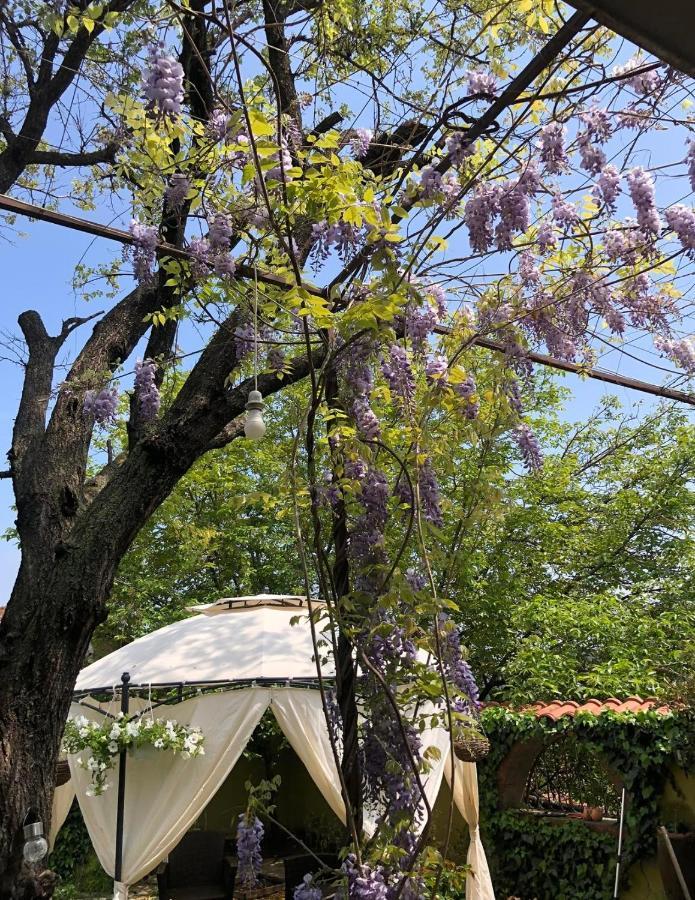 Lux Garden Home D Κουμάνοβο Εξωτερικό φωτογραφία
